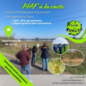 PIAF à la carte : journée complète d'ornithologie en groupe de 4 à 8 personnes